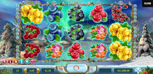 winterberries screenshot