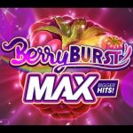 berryburst max uitvoering