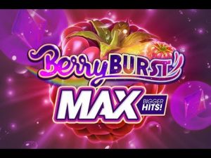 berryburst max uitvoering
