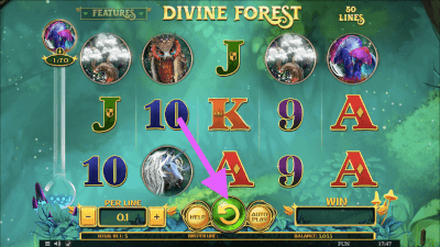 Speel Divine Forest