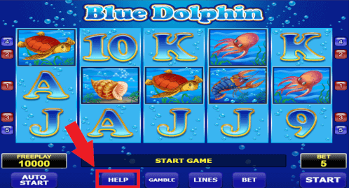 help op dolphin slot