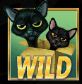 Wild Kat symbool